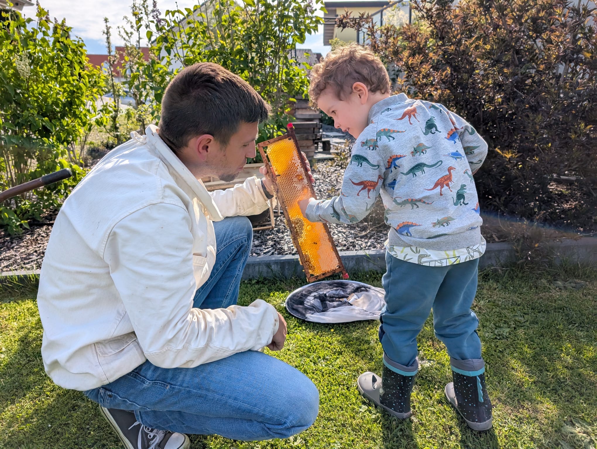 Ein Mann hält eine Bienenwabe und ein Kind betastet die mit Honig gefüllten Waben